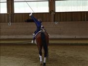 voltitag 2009 _CD1 114